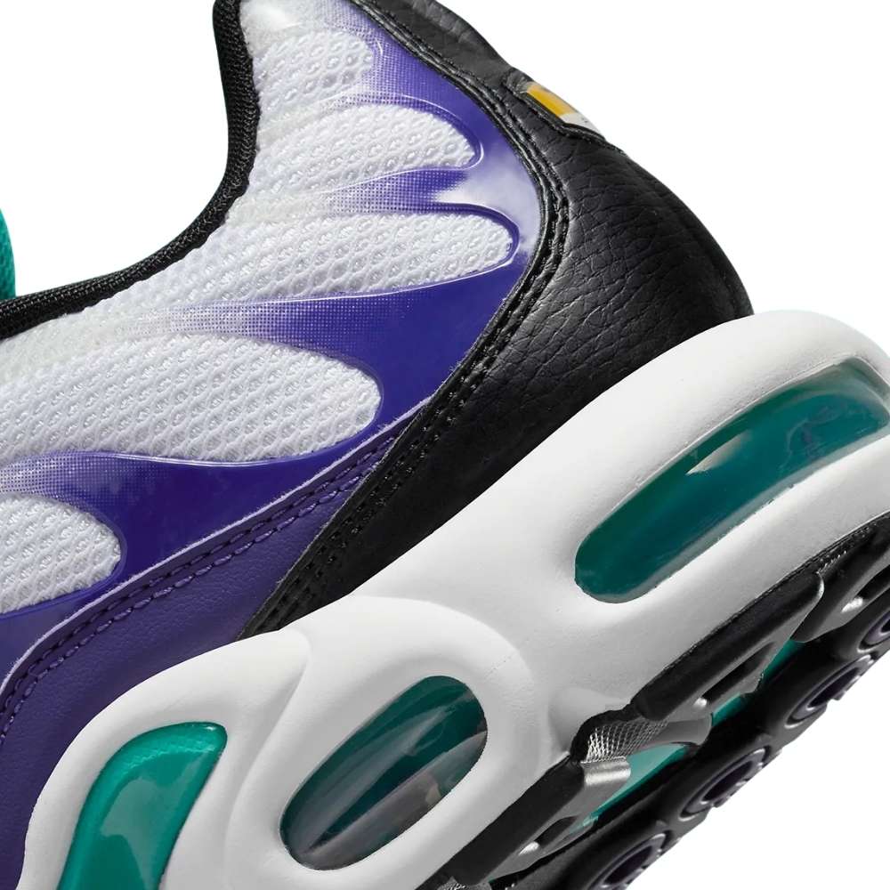 Purple Nike TN Air Max Plus White Grape Ice Sleektrainers DM0032-100